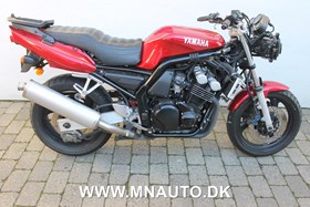 FZS 600