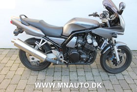 FZS 600